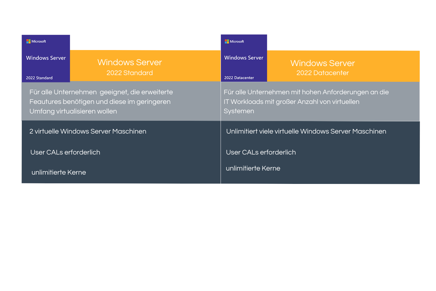Microsoft Windows Server 2022 Standard